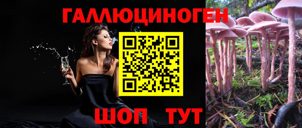 Апатиты  Псилоцибиновые грибы мухоморы  Вход с VPN 